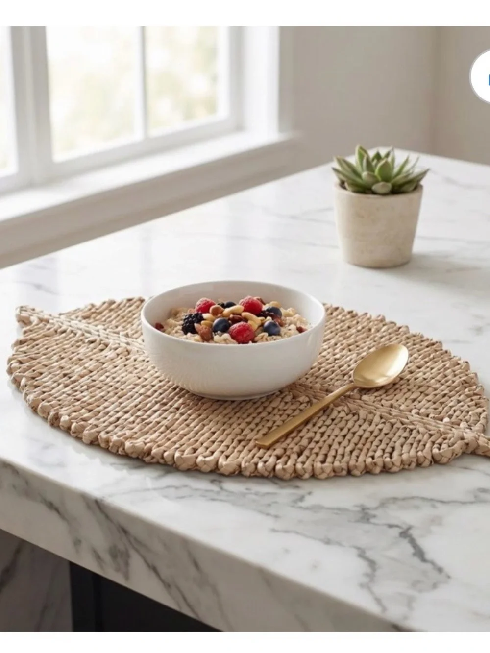 Braided Seagrass Trivet / Hot Pad - Natural